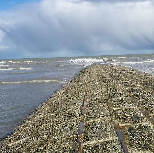 Guest house Maison Du Golf